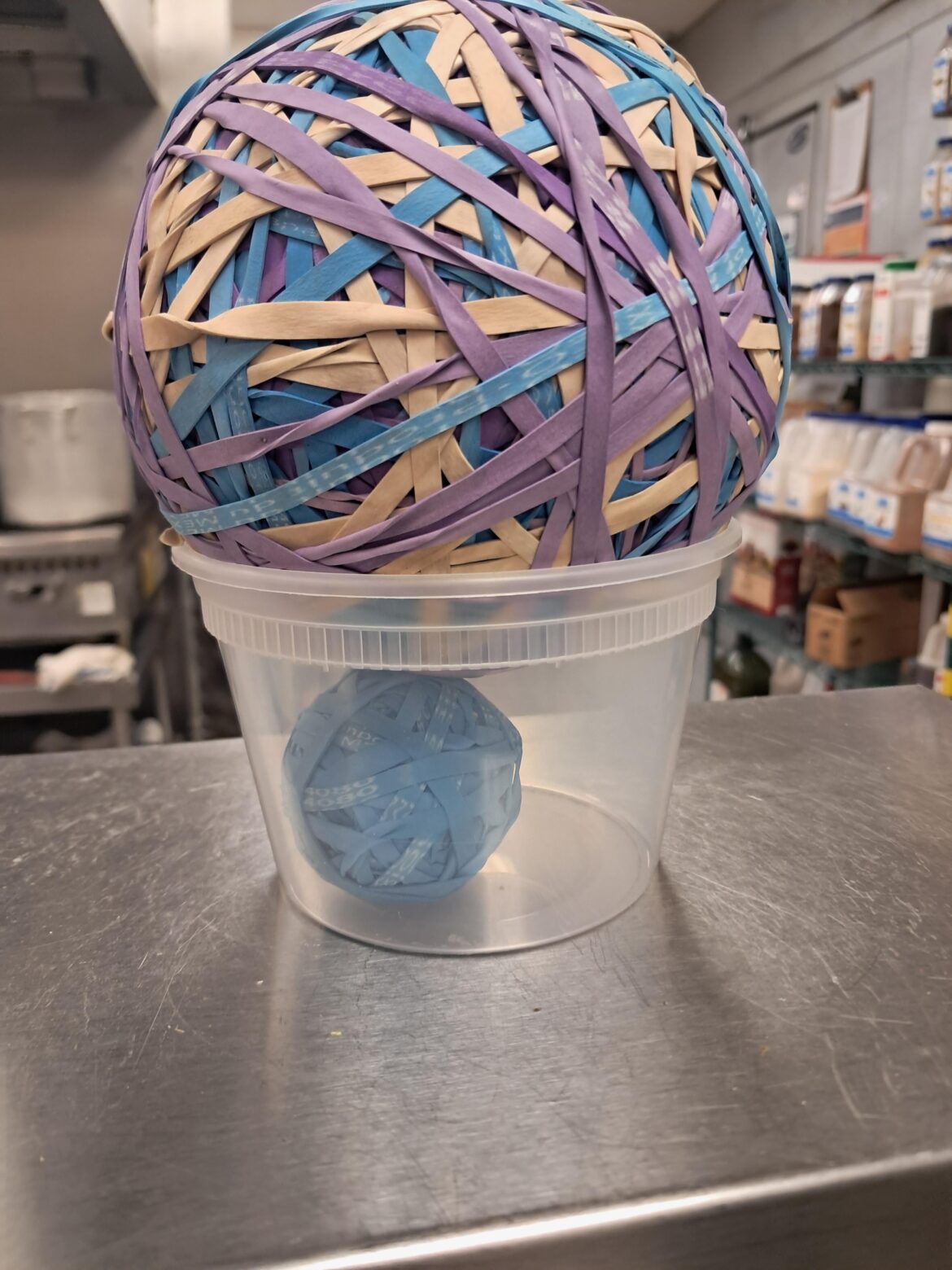 Our 3.5 year old ball had a baby!