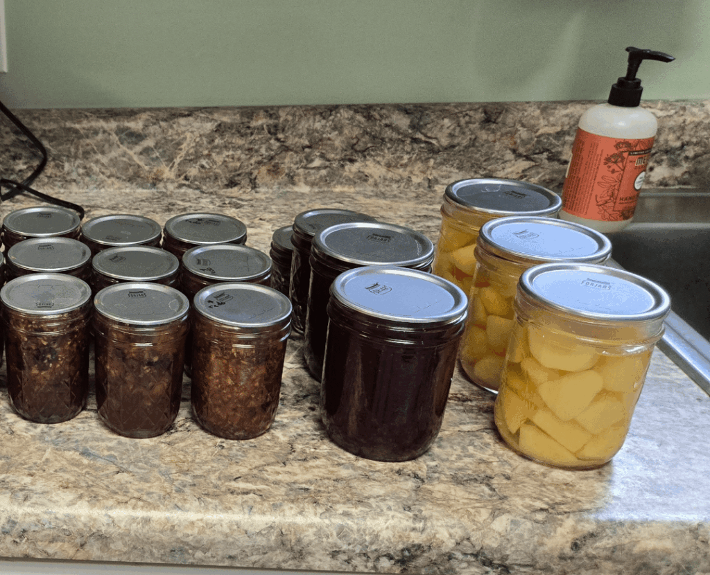 Canned Potato Recipes