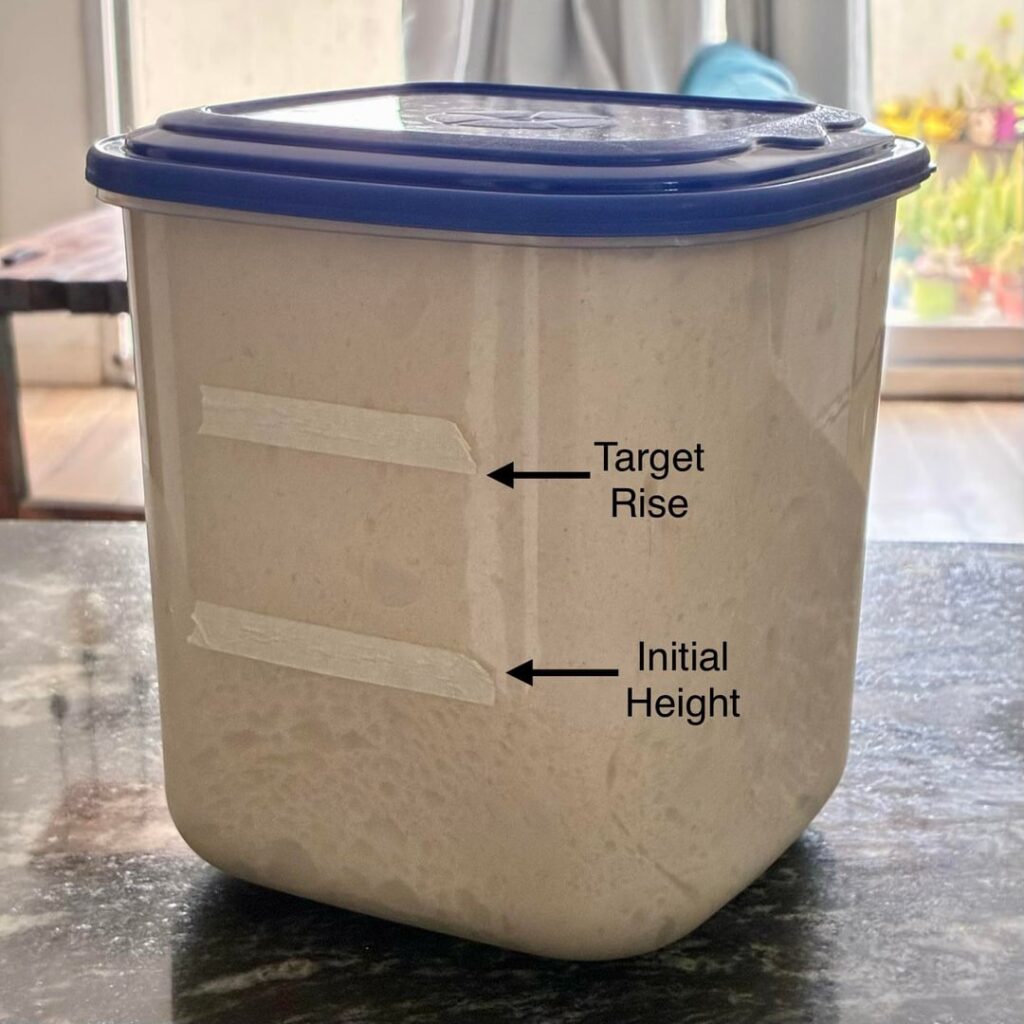 Took a nap without setting an alarm. Took a nap without setting an alarm.