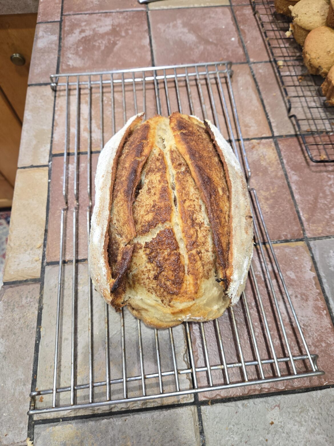 Ears are overrated. How about labia?