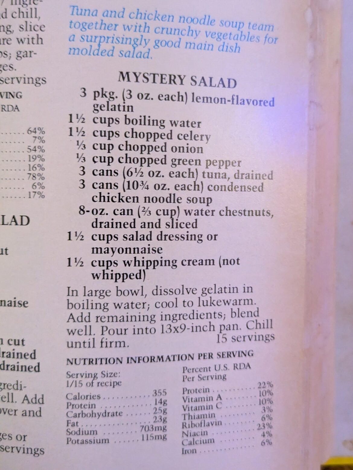 "Mystery Salad" - Featuring lemon gelatin, chopped onion, tuna fish, chicken noodle soup, and more!