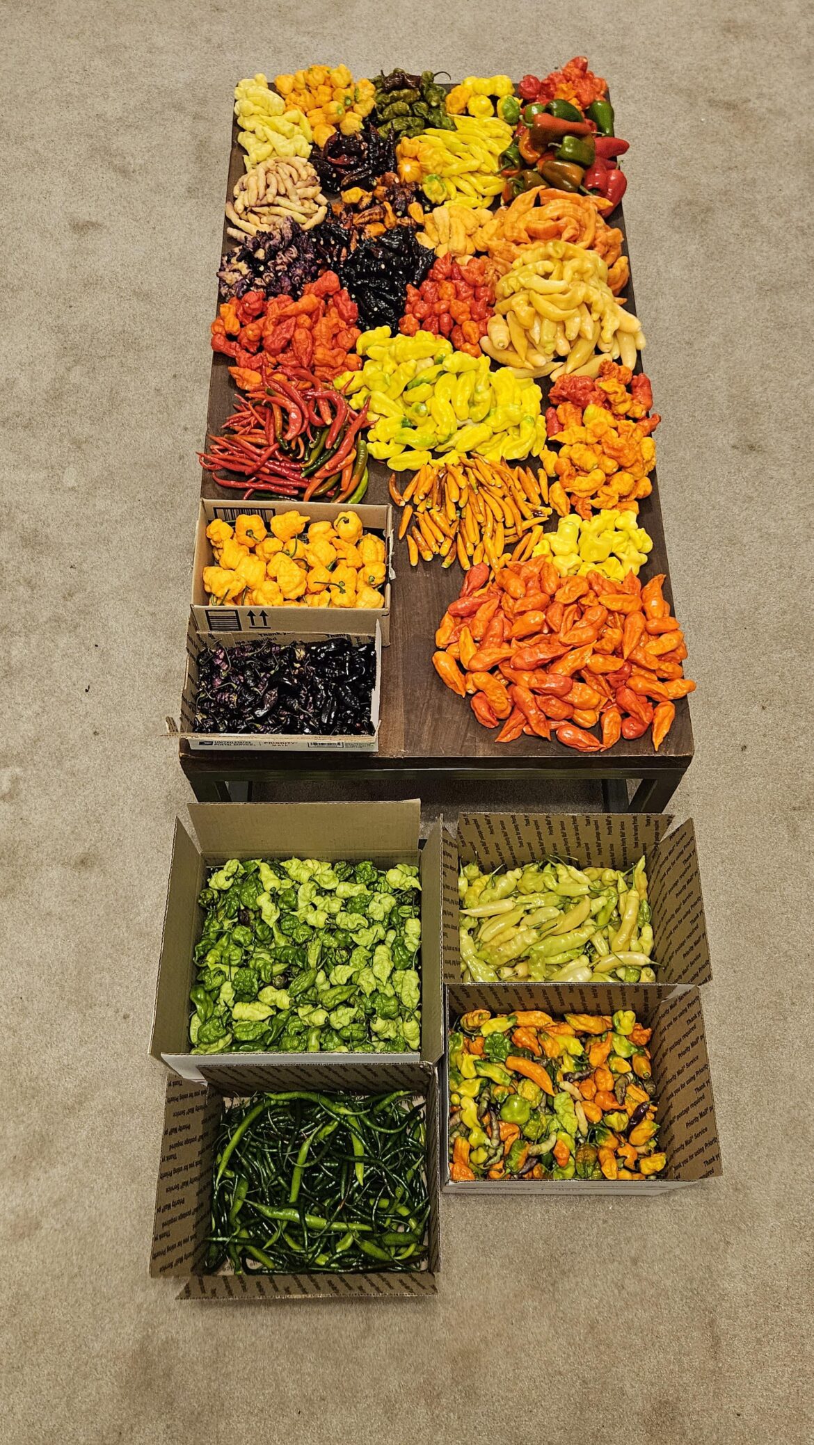 Last harvest before the freeze