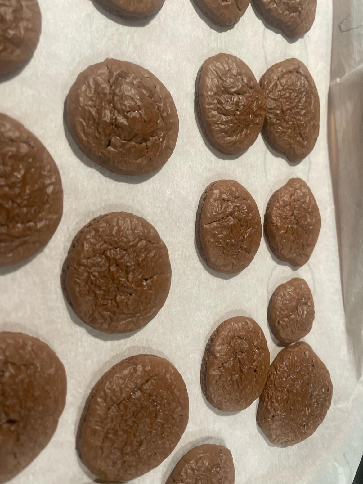 Why do they look like this?