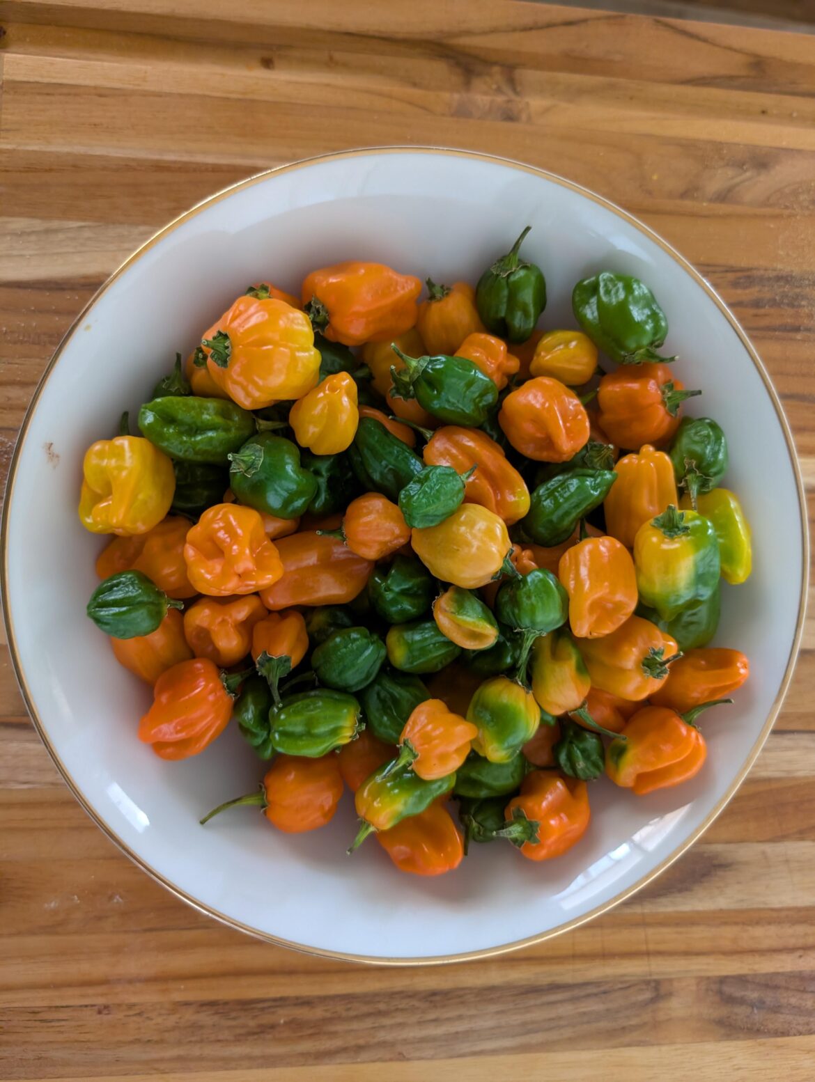 Last Harvest of the Year