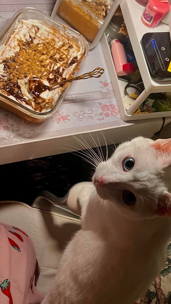 Finally down 30kg (66 pounds) at last!! Thought I’d do a lil dump of what was on my plate this past half year to commemorate!