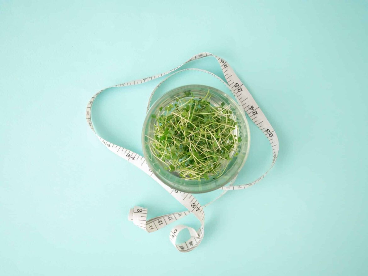 Mediterranean Diet Loses To Vegan In Head-To-Head Weight Loss Trial Mediterranean Diet Loses To Vegan In Head-To-Head Weight Loss Trial