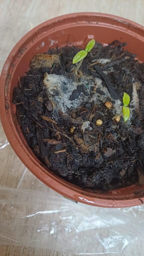 Please help me 😭😭