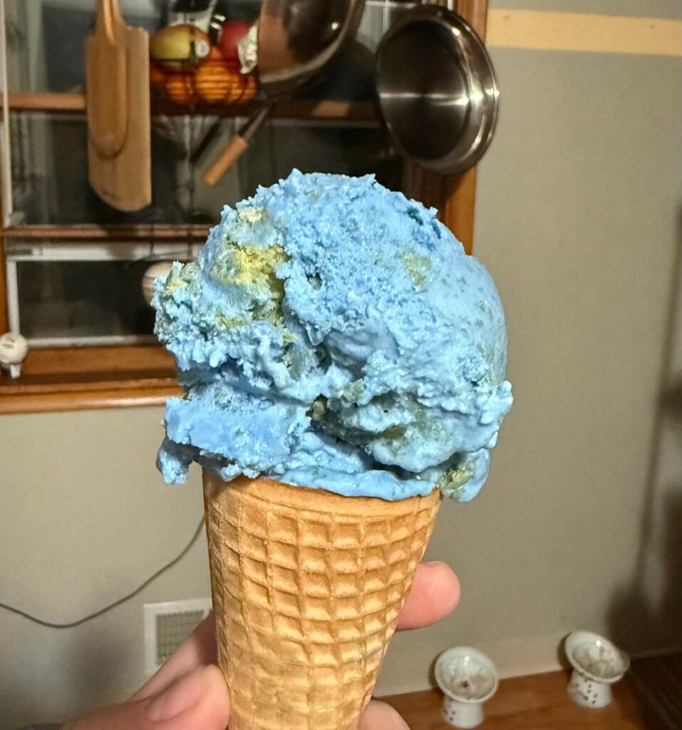 “Planet Earth” VanLeeuwen Dupe