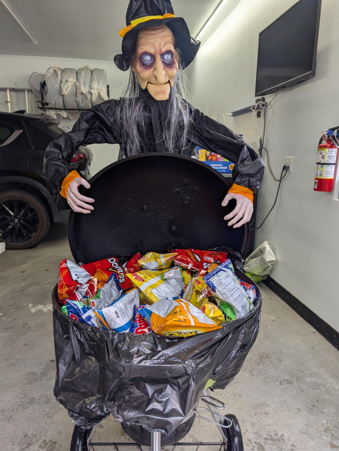 The witch is ready for trick or treaters (impromptu Webber cauldron )