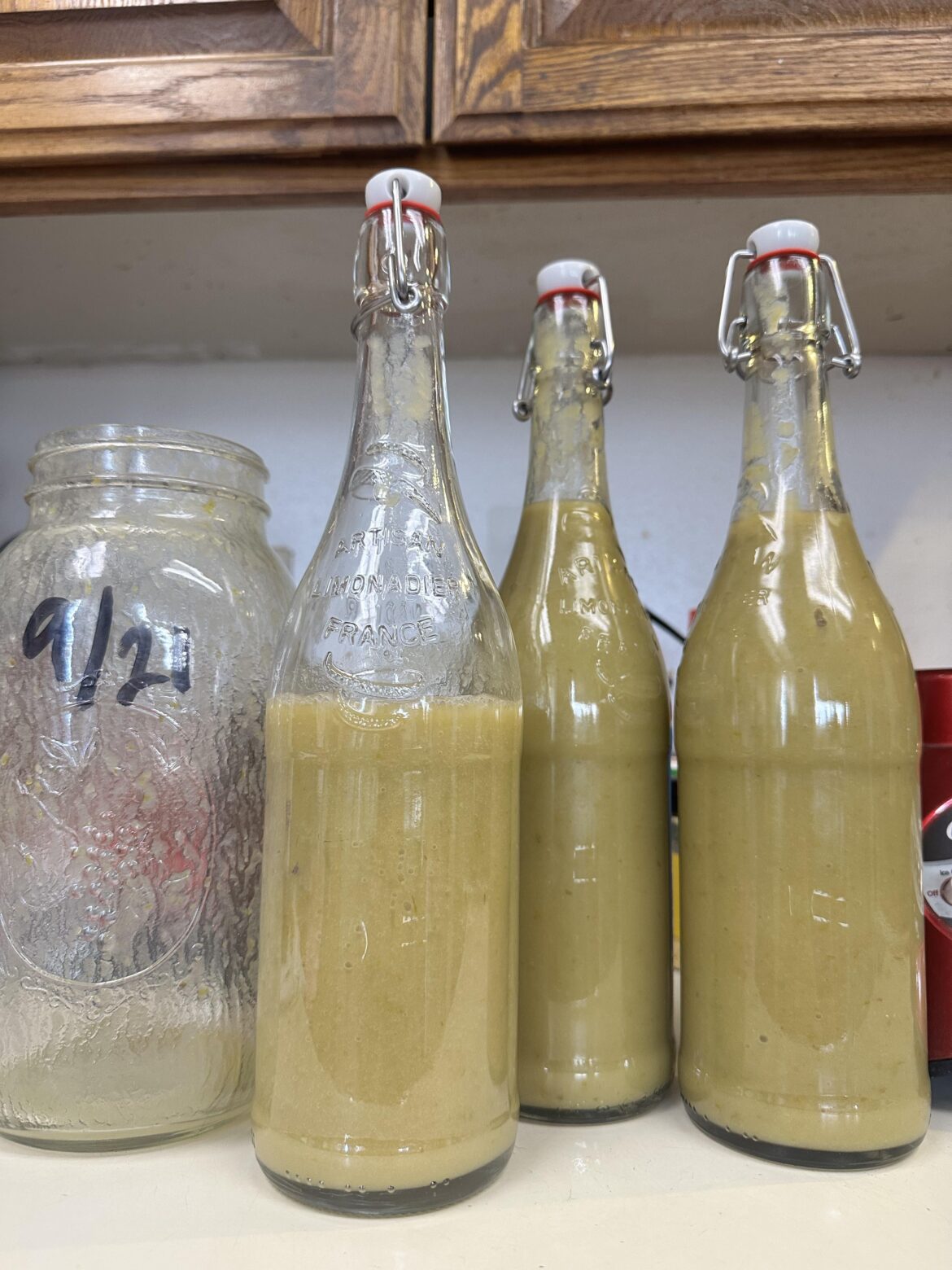 62 day ferment Garlic Serrano