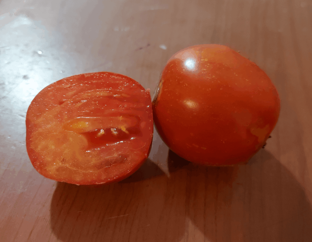 Two real tomatoes I've grown. Can't believe it actually worked. Now I need to plant the tomato seeds in march(probably) and not June, to get more tomatoes.
