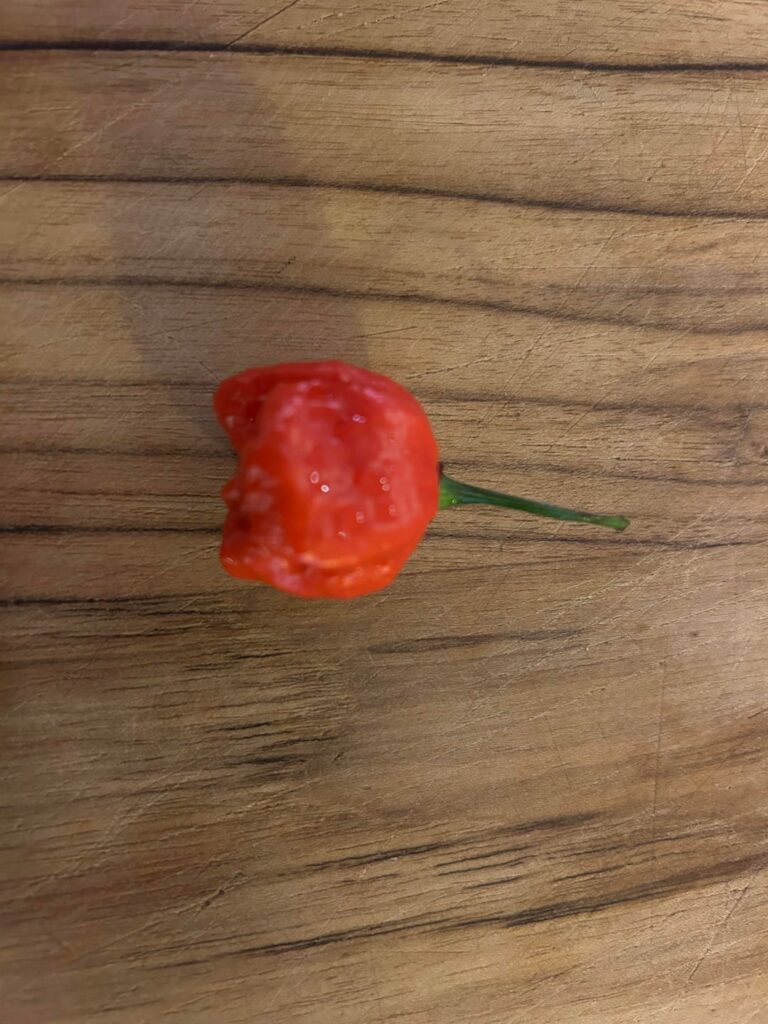 Drangon’s BREckfast