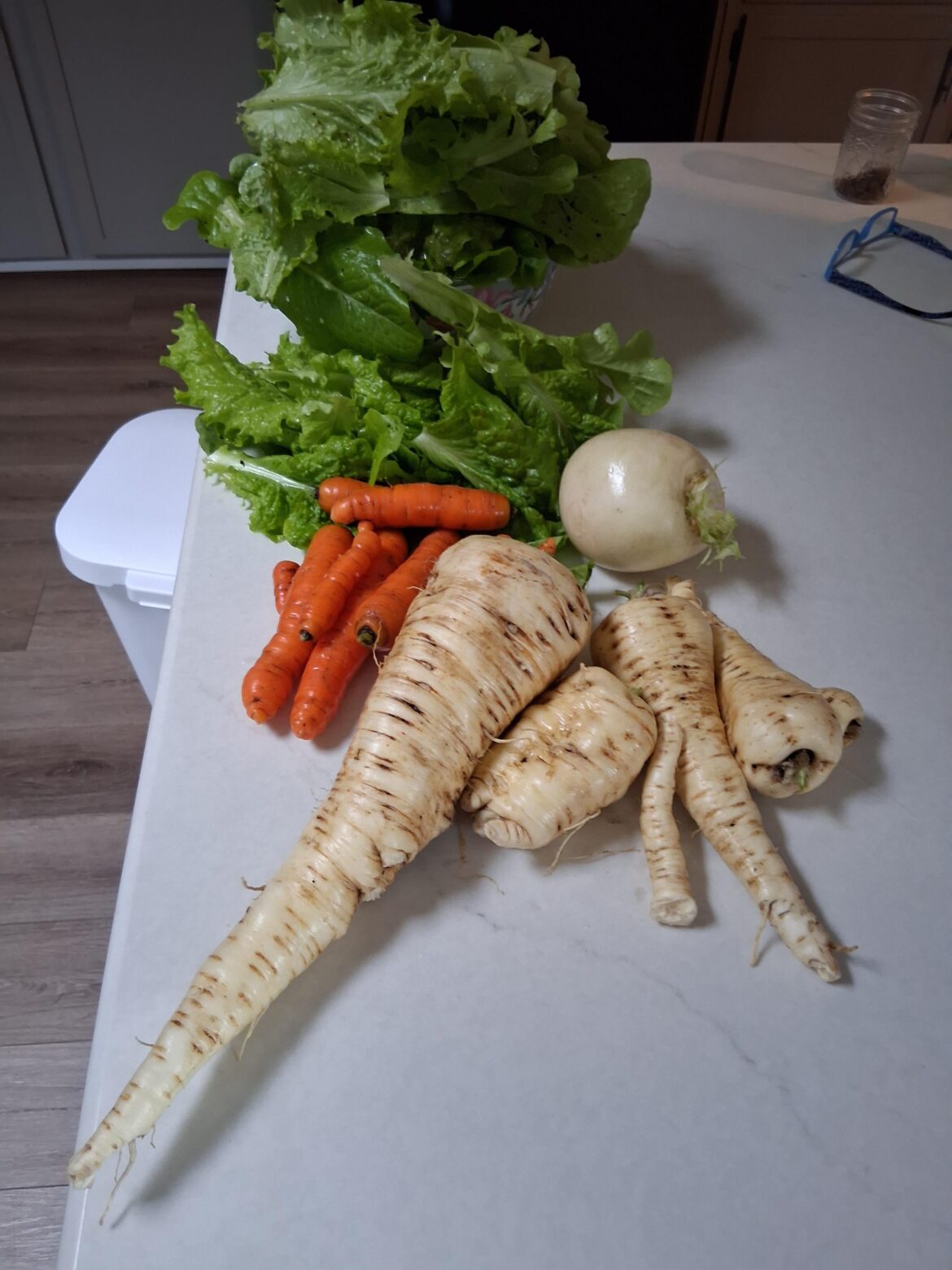 Thanksgiving harvest