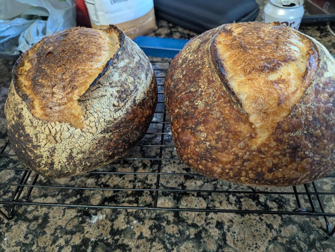 My buddy who owns an artisan bakery gifted me some dehydrated sourdough starter almost 18 months ago, and I finally got around to reviving it! These are my first sourdough loaves in over 3 years and they are by far my best!