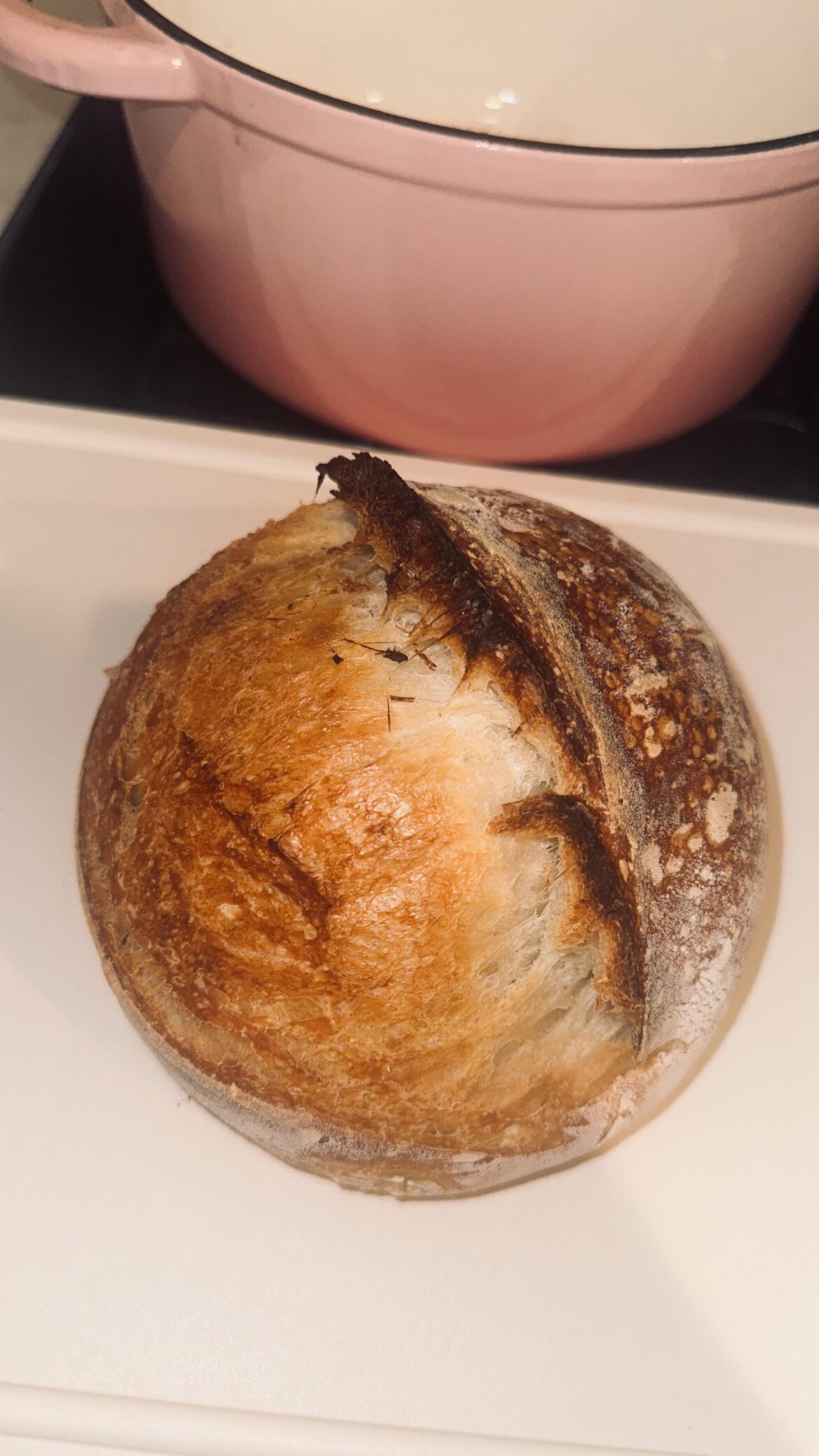 my first time being brave enough to ask 🥹 rate my loaf?
