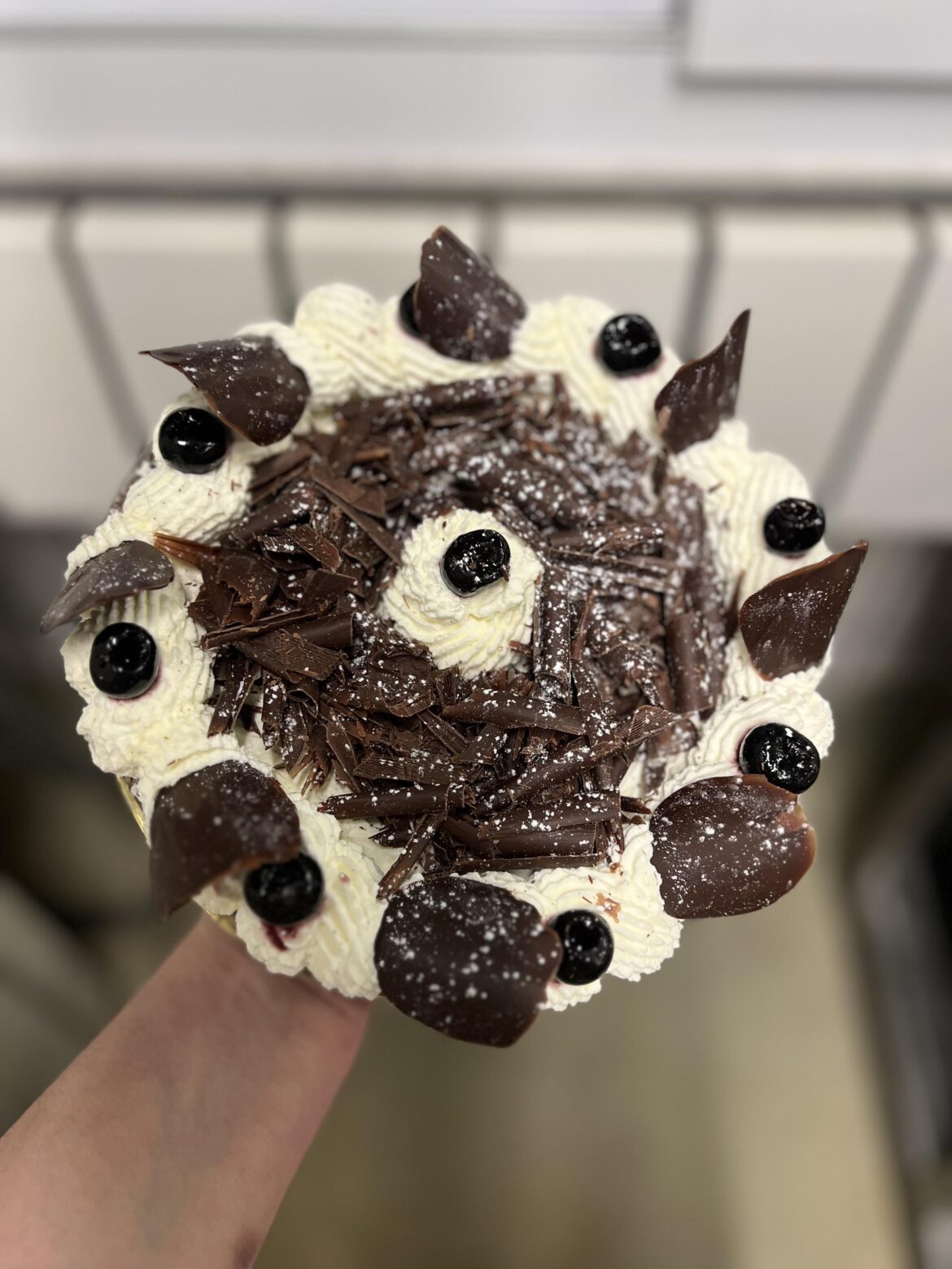 Little black forest ✨🍒