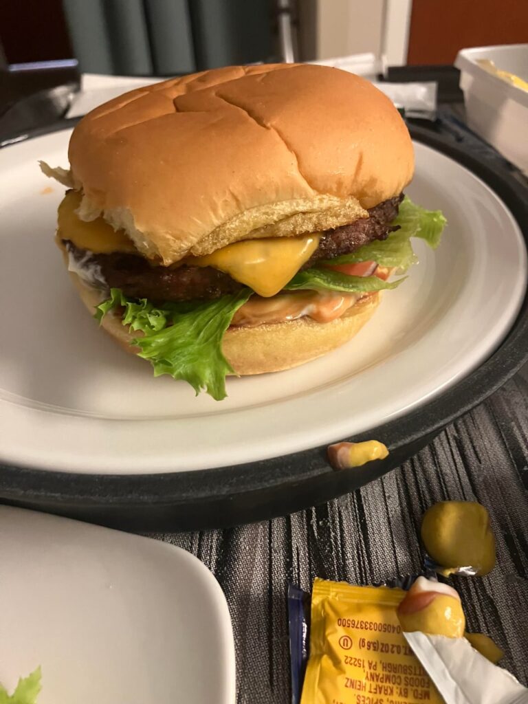 Made my own In N Out hospital burger