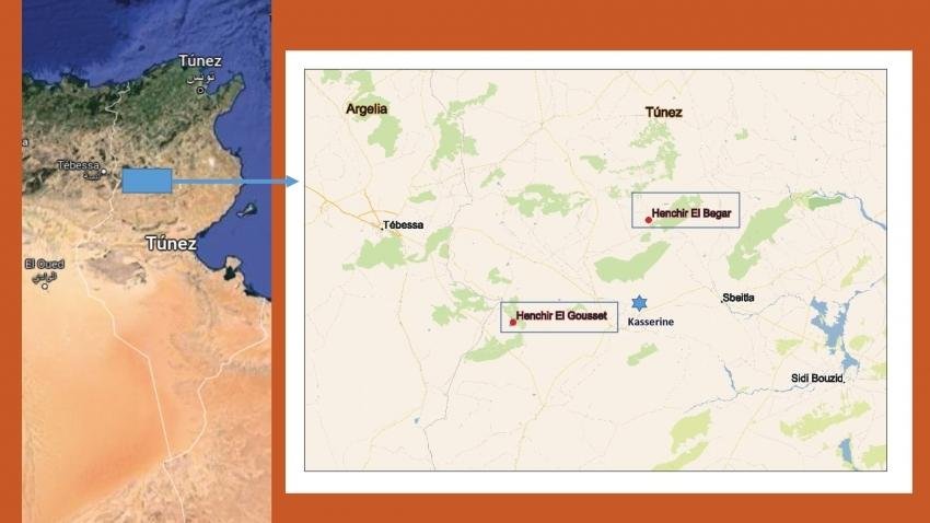 Second-largest Roman Empire olive oil production complex discovered in Tunisia