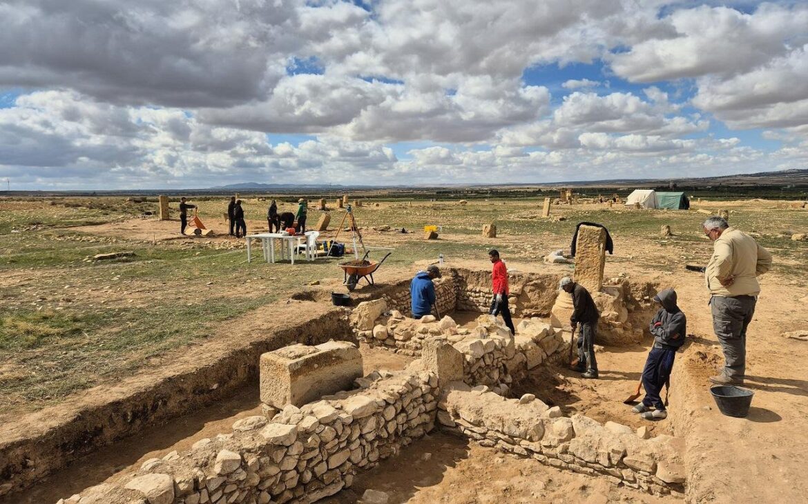 Second-largest Roman Empire olive oil production complex discovered in Tunisia