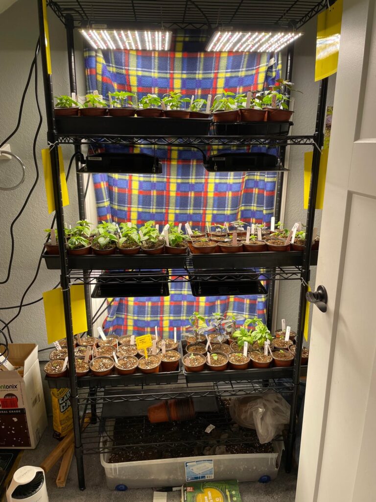 Started a bit too early