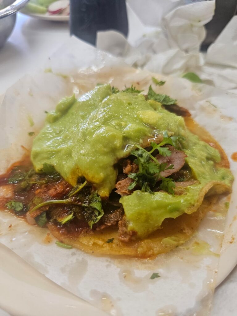 Adobada and carne asada tacos from tacos el franc in Tijuana