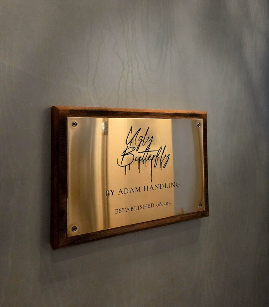 Ugly Butterfly, Cornwall, UK Ugly Butterfly, Cornwall, UK