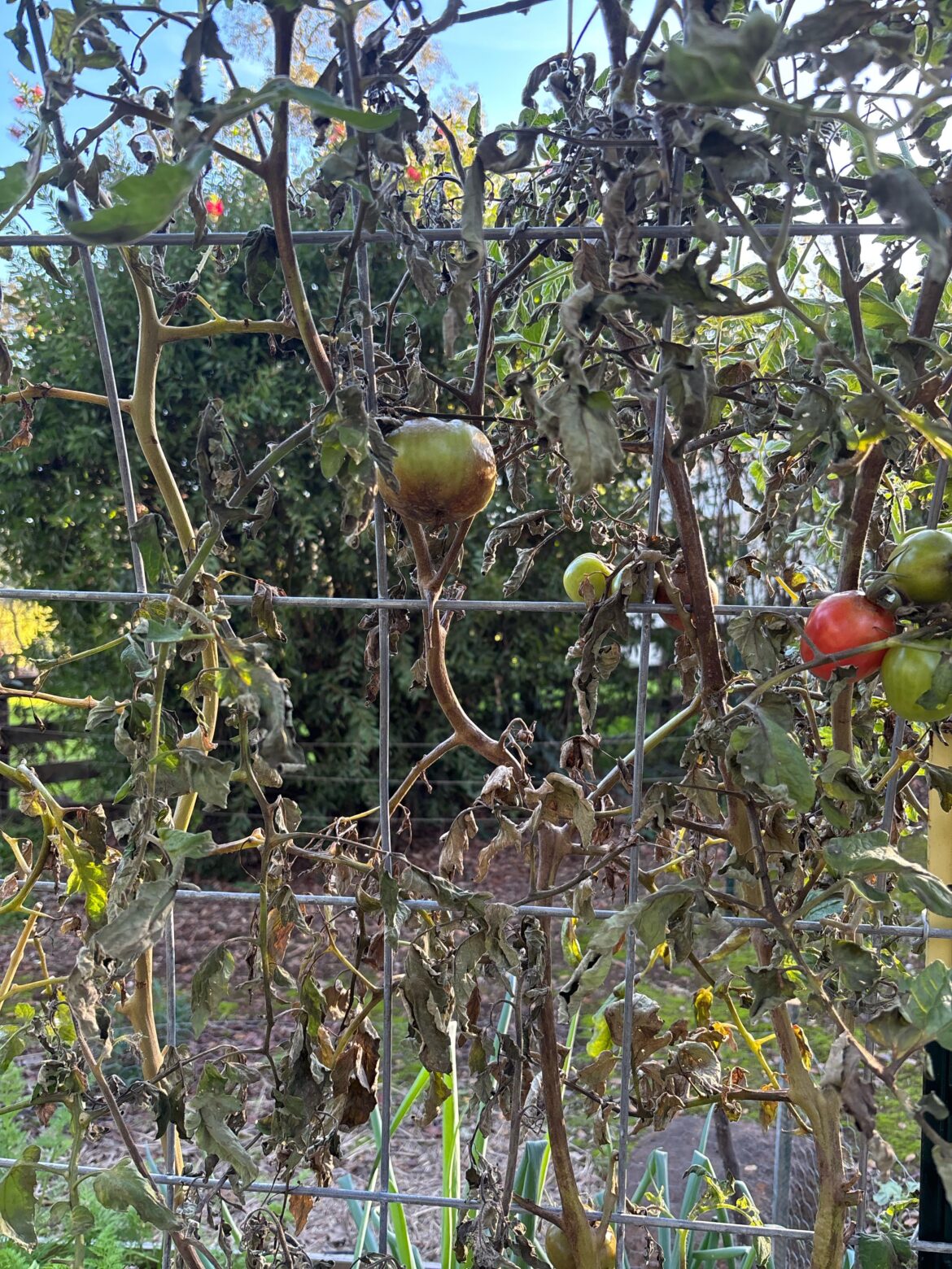 What the heck happened!