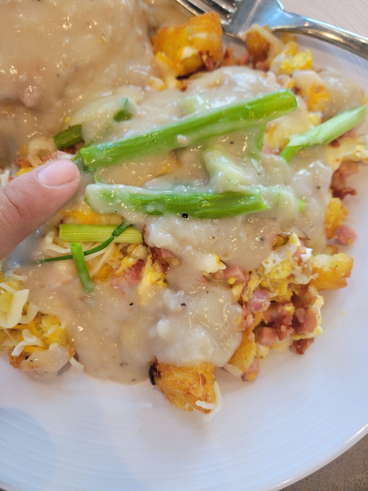 I got served these LOGS today