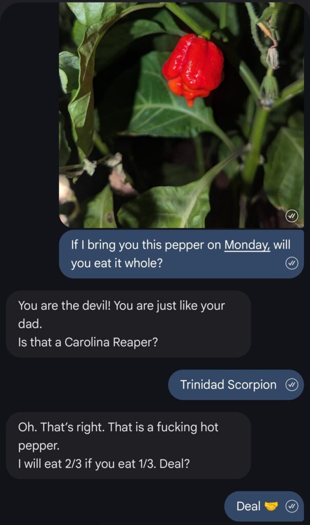 Grew some Scorpion Peppers for my boss. He challenged me to a duel.