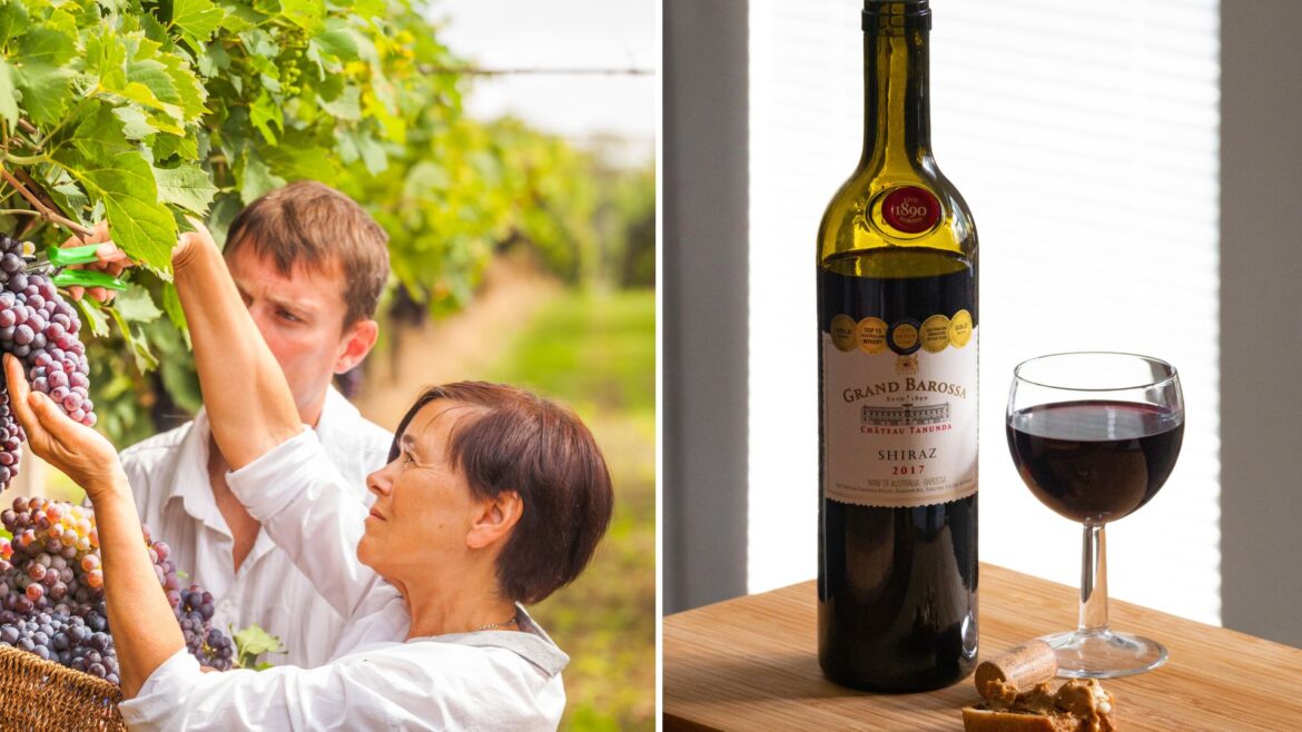 Research underpins gender equity initiative in the Australian grape and wine sector