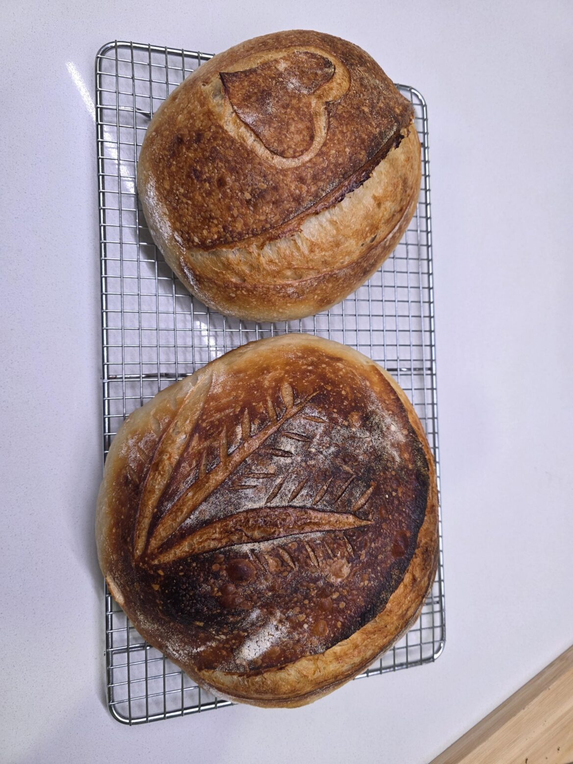 Finally got the hang of it. Finally got the hang of it.