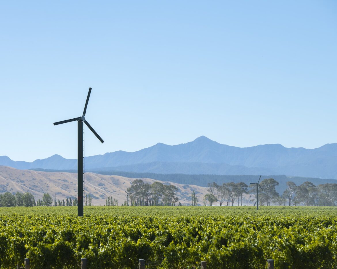 New Zealand’s Sustainable Wine Industry A wind turbine on a vineyard in Marlborough, New Zealand — sustainable wine