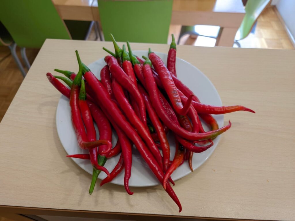 Late harvest, hopefully not done