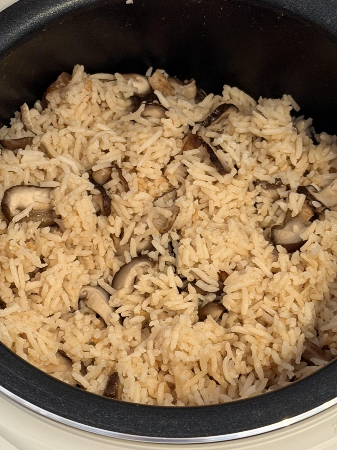 Shiitake mushrooms rice with ricecooker