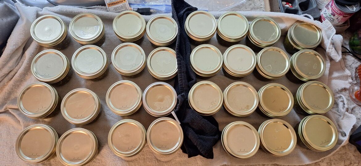 Today I used the last of this seasons jalapeno harvest and made 15 mild and 16 hot jars of Cowboy Candy (candied Jalapeños).