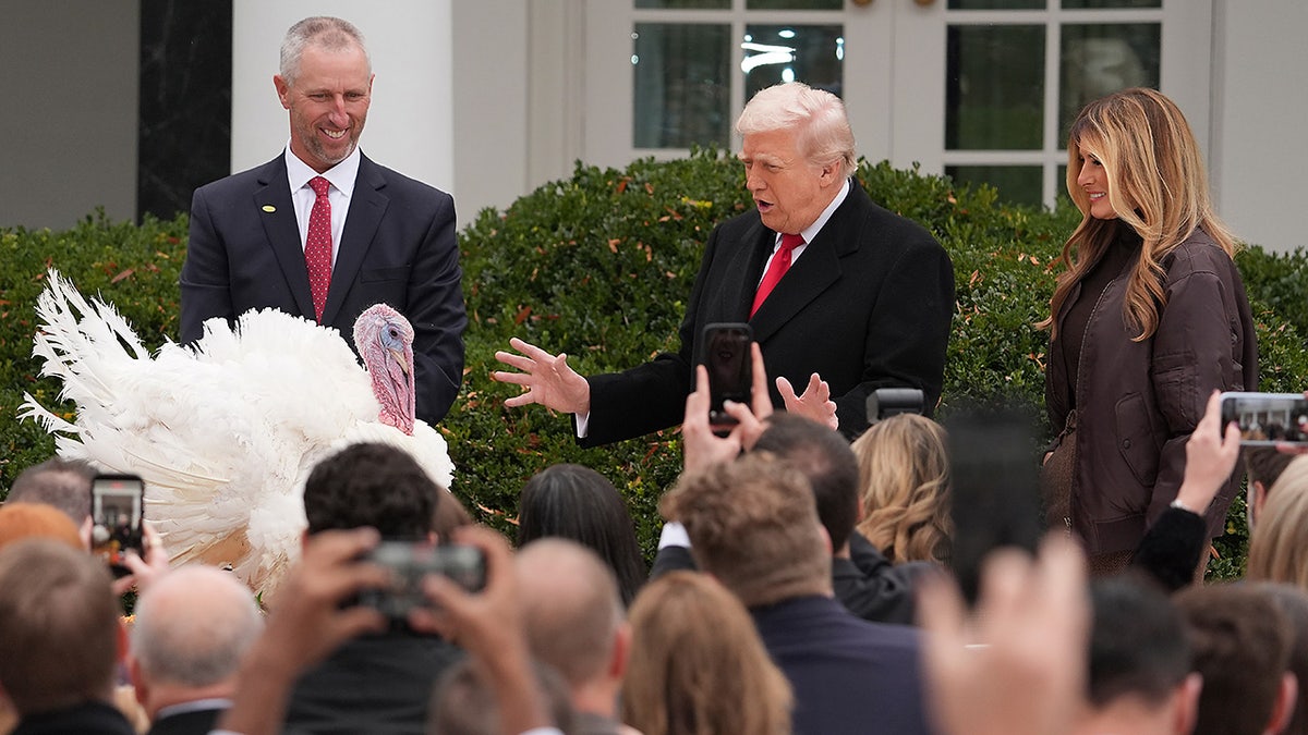 President Donald Trump and first lady Melania Trump with Thanksgiving turkey Gobble at the Rose Garden of the White House, Tuesday, Nov. 25, 2025, in Washington, D.C. (AP Photo/Evan Vucci)