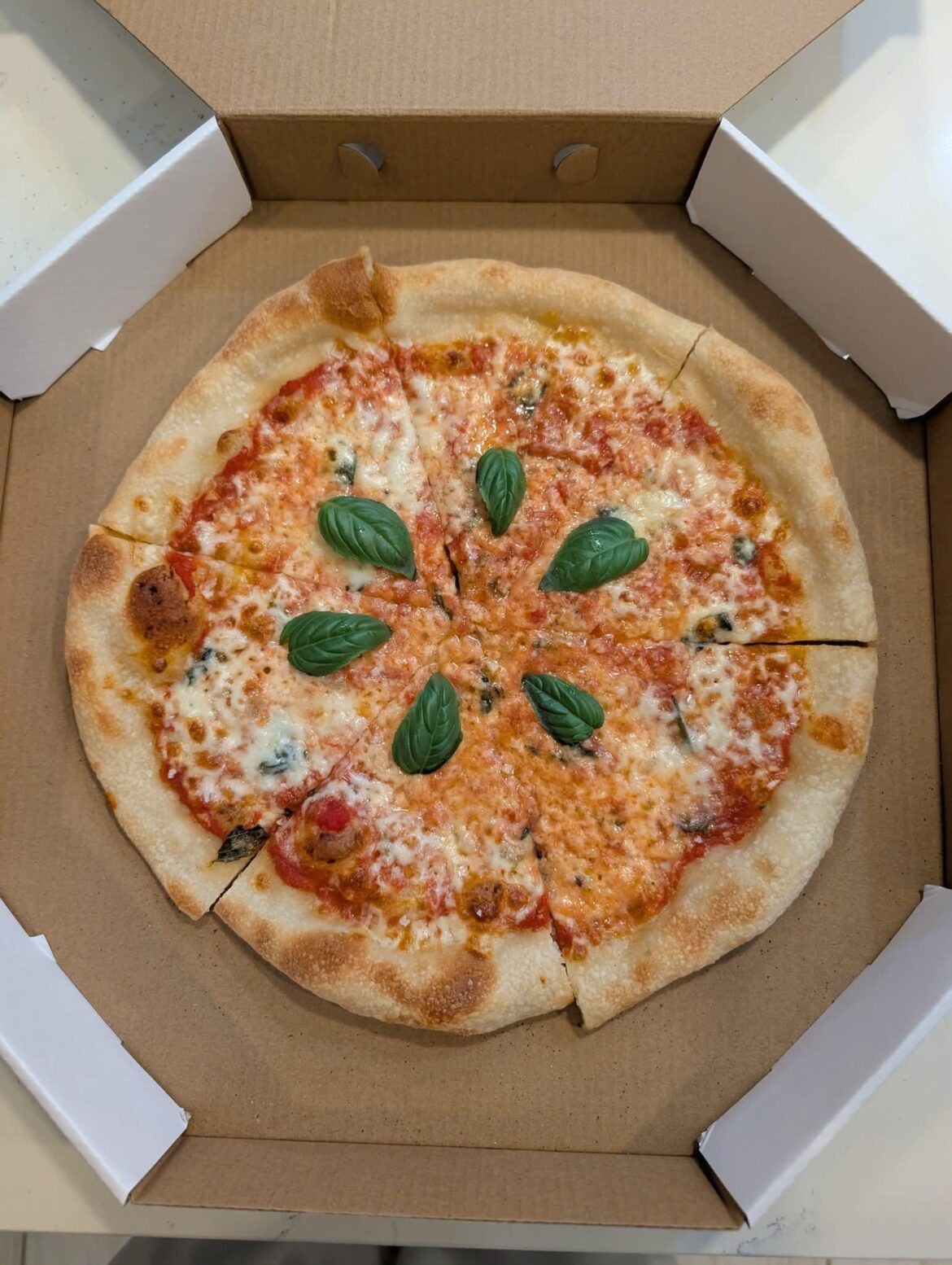 Started selling pizza, sold 8 in total the first night!