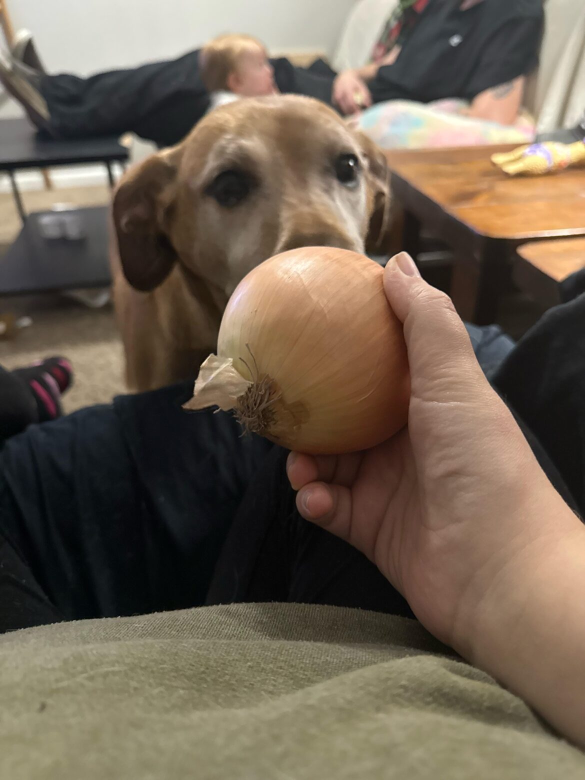 Sounds like a win to me