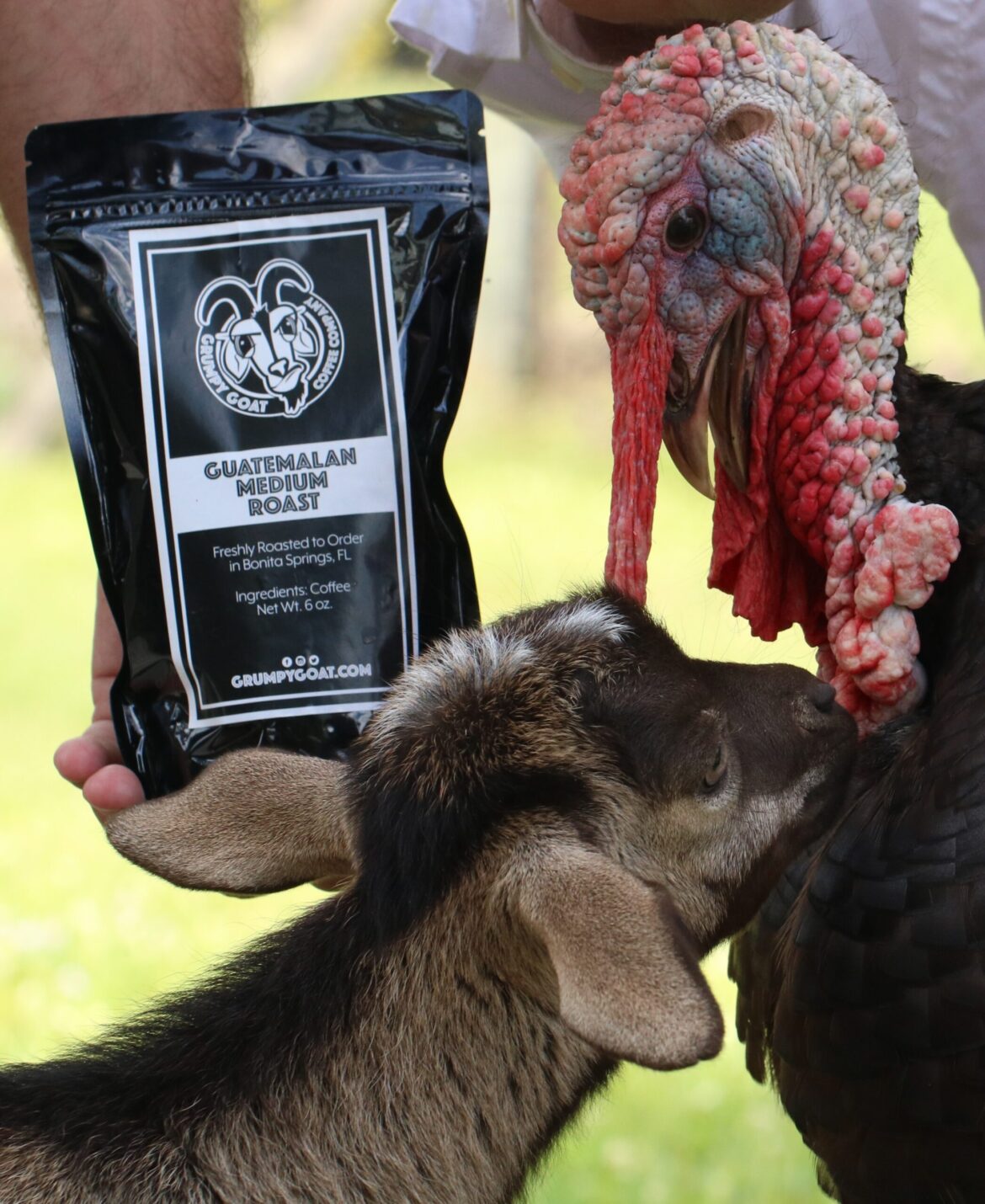 Grumpy Goat provides Thanksgiving tastings as Naples celebrates Tulia Italian Steak