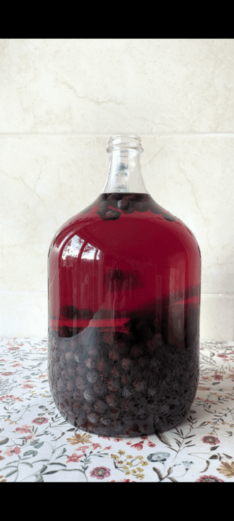 Making Patxaran Making Patxaran