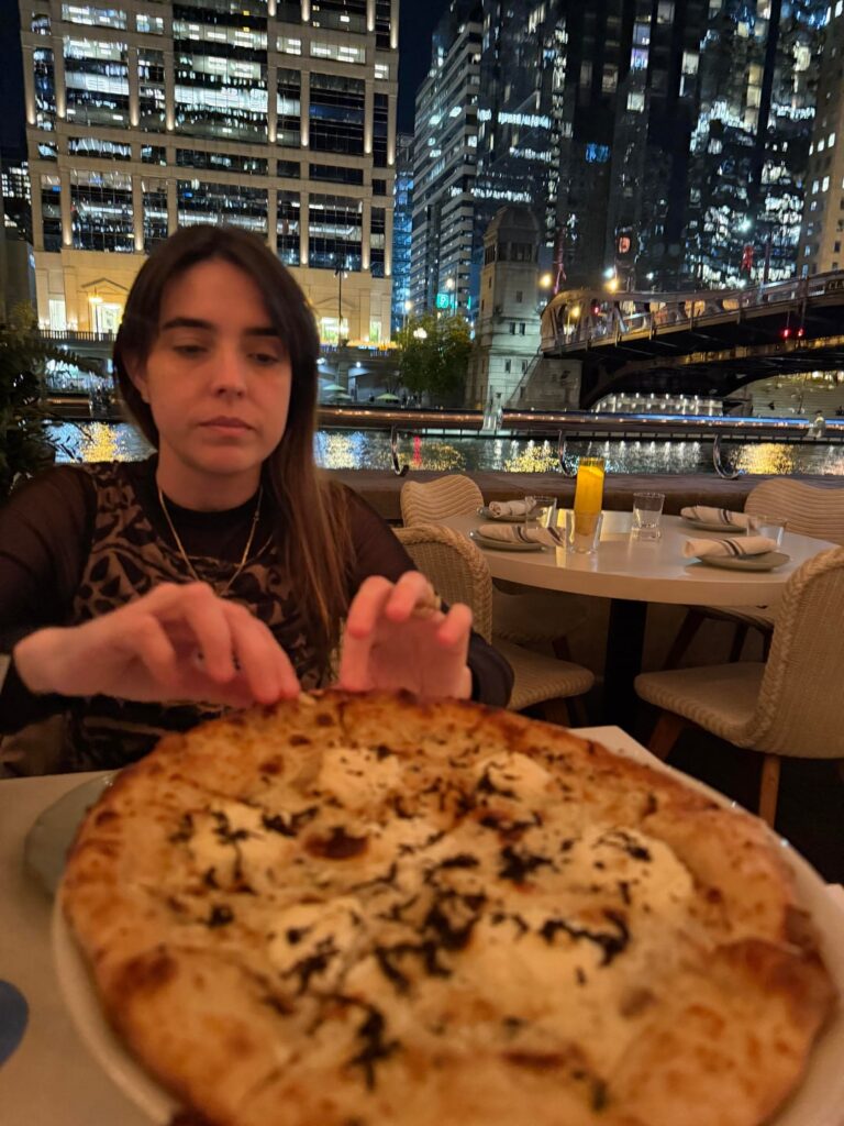 Visiting chicago from brazil