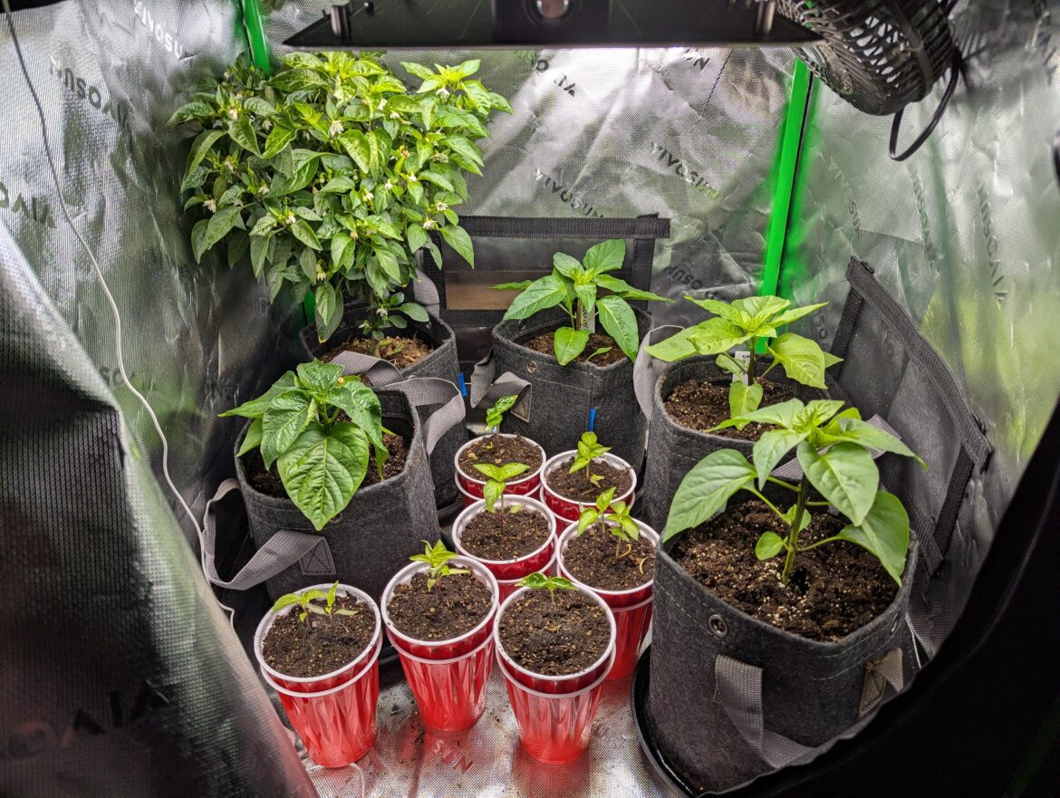 Already prepping for 2026