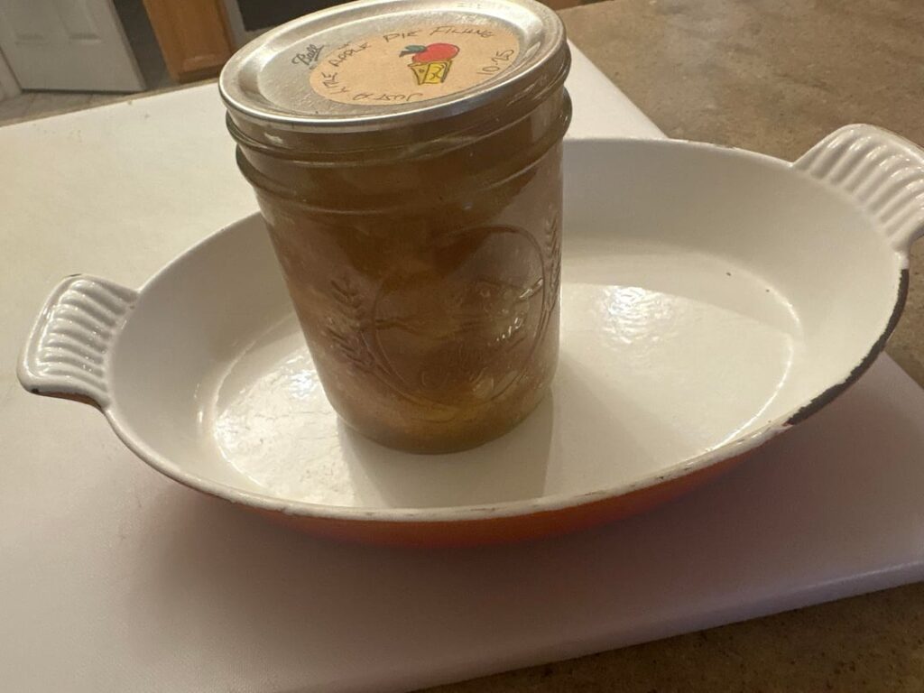 Cook what you Can - Apple Pie!