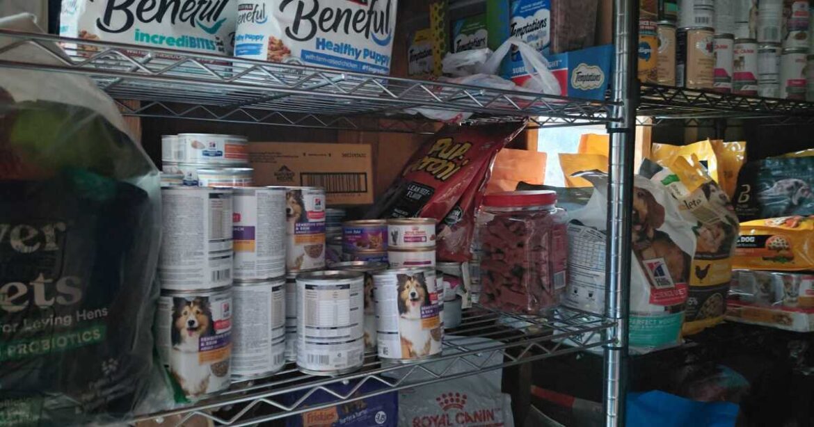 North Texas animal shelters offer pet food to help owners struggling to buy groceries