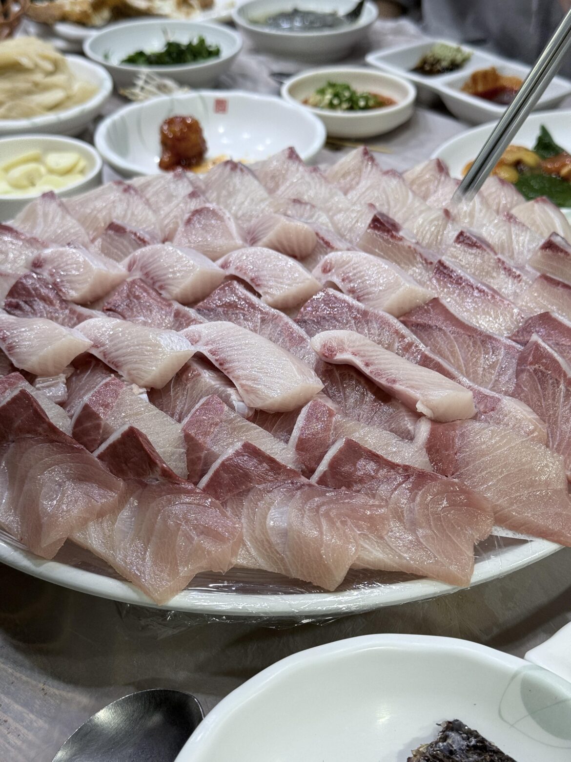 Have you ever tried  eating 대방어(?)