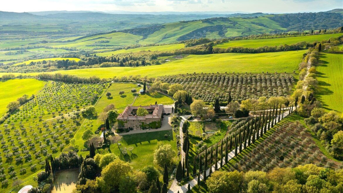 Chiarentana: How One Tuscan Estate Shaped Val d’Orcia Olive Oil Times
