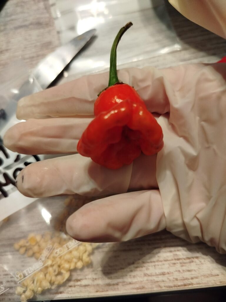 Please help me identify?