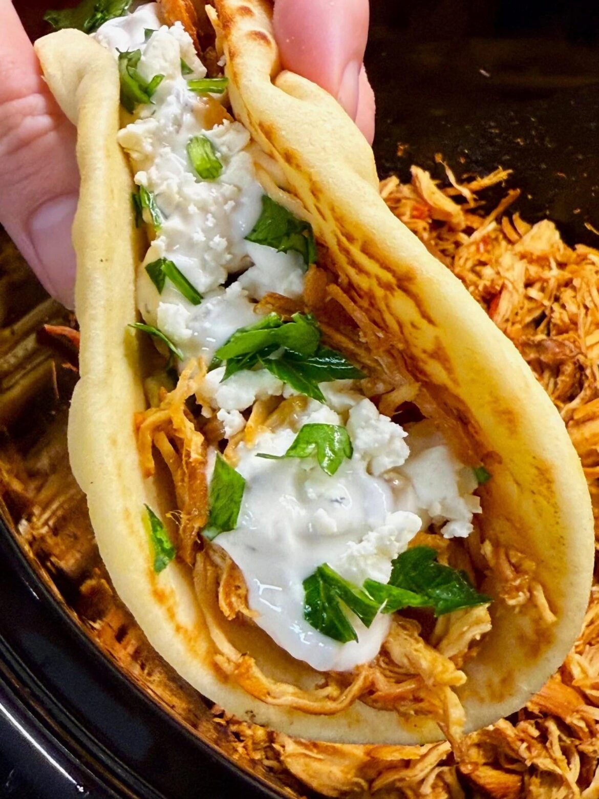 Crock Pot Harissa Chicken Wraps were so flavorful and unique!