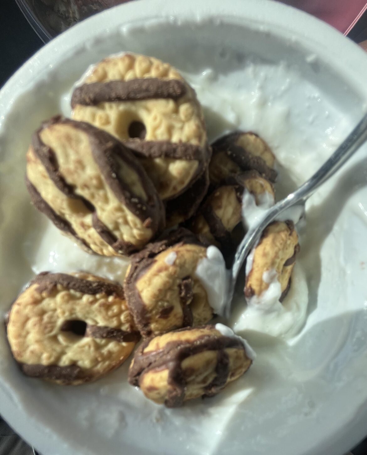 Vanilla Greek yogurt with mini fudge stripe cookies . 185 calories :-)
