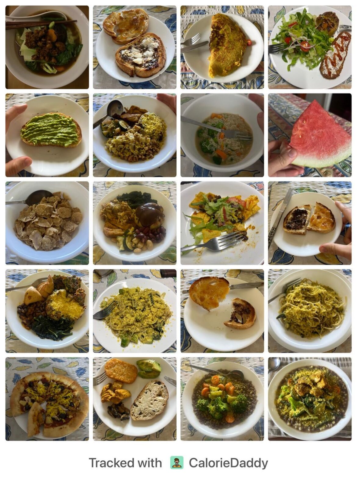 This week's vegan meals!